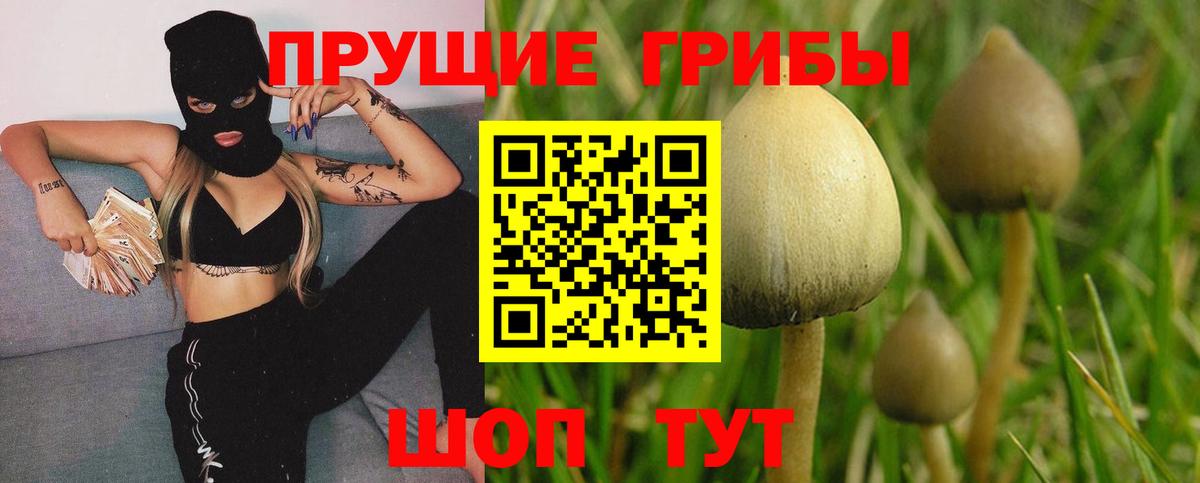 Галлюциногенные грибы мухоморы Коркино