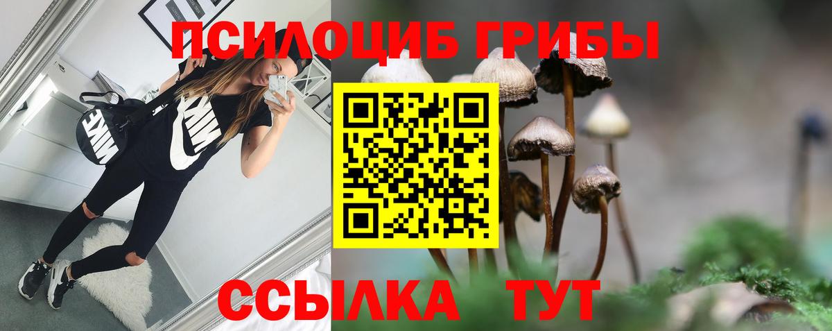 Коркино  Галлюциногенные грибы мицелий  Вход с VPN 